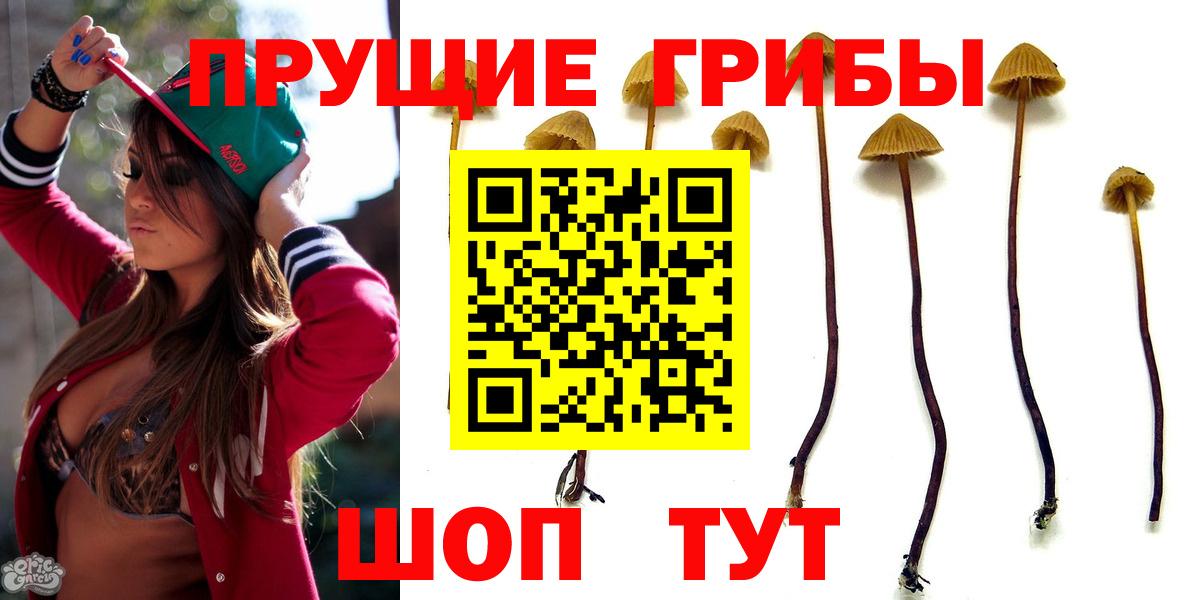 Братск  наркошоп  Вход с VPN  Псилоцибиновые грибы мухоморы  Галлюциногенные грибы Cubensis 
